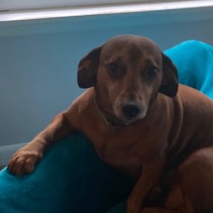 Meet your Posher, Graham